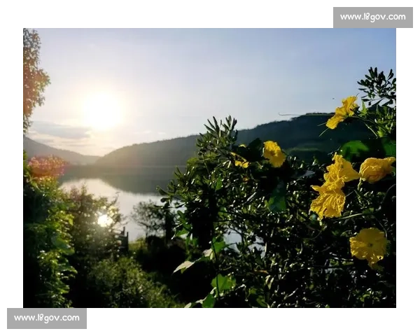 《在阳光下奔跑的快乐时光记一次难忘的丢沙包比赛》