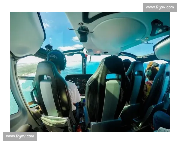 《狐狸们的速度较量:谁能成为森林中最快的追风者》 《狐狸们的速度较量:谁能成为森林中最快的追风者》